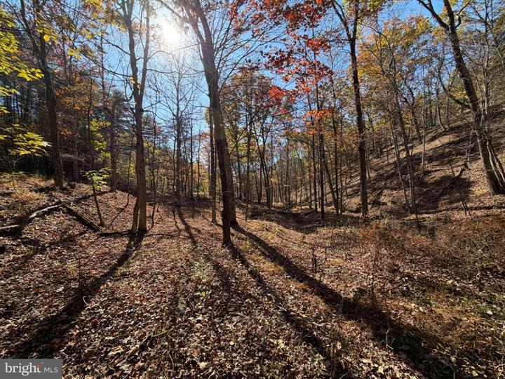 81 BLUFFS ON THE POTOMAC, SPRINGFIELD - Photo 21 of 25