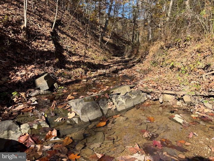 81 BLUFFS ON THE POTOMAC, SPRINGFIELD - Photo 23 of 25