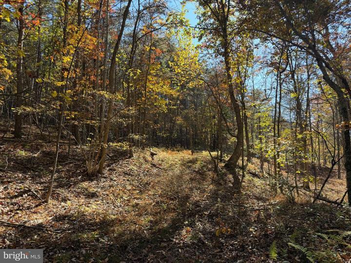 81 BLUFFS ON THE POTOMAC, SPRINGFIELD - Photo 22 of 25