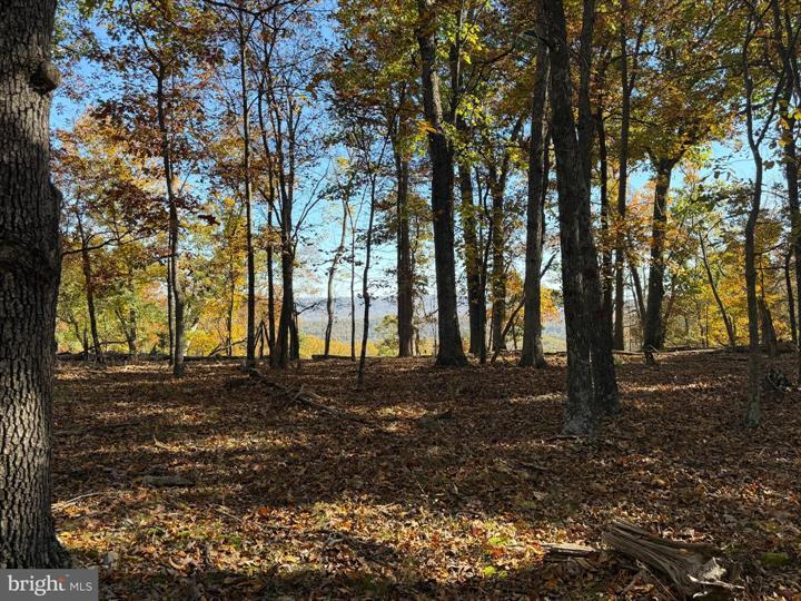 81 BLUFFS ON THE POTOMAC, SPRINGFIELD - Photo 7 of 25