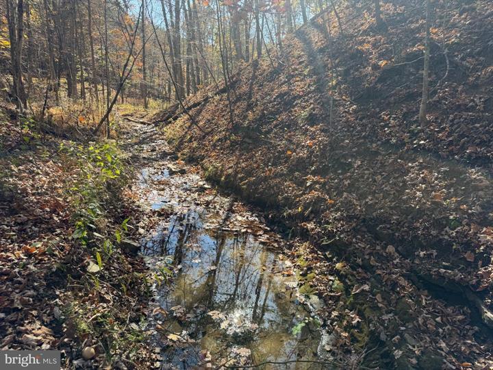 81 BLUFFS ON THE POTOMAC, SPRINGFIELD - Photo 4 of 25
