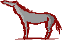 Sterling Realty Services - Company logo