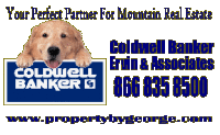 Coldwewll Banker Ervin & Associates - Company logo