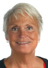 Ann Wells - Professional headshot