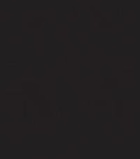 Platinum Real Estate - Company logo